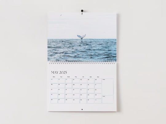 2025 Calendar - Moreton Bay Edition