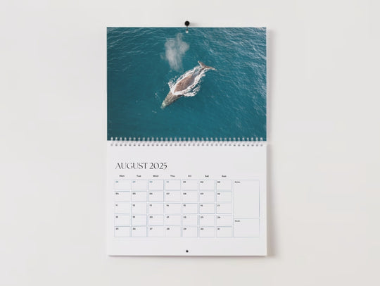 2025 Calendar - Moreton Bay Edition