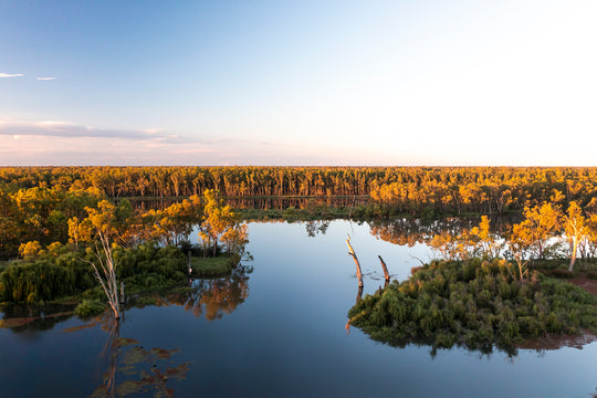 Lake Mulwala | Murray River - 199