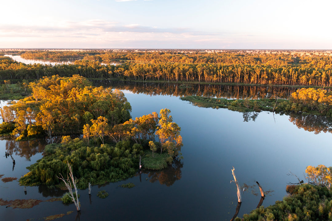 Lake Mulwala | Murray River - 190