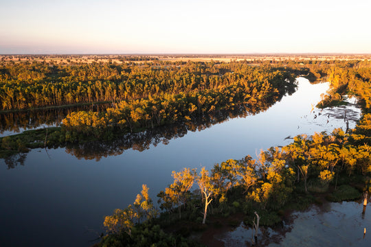 Lake Mulwala | Murray River - 197