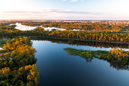 Lake Mulwala | Murray River - 196