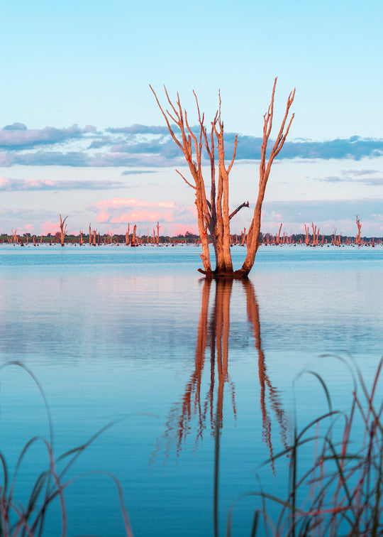 Lake Mulwala | VIC/NSW - 184