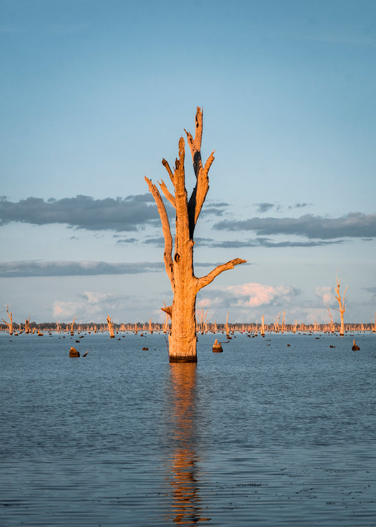 Lake Mulwala | VIC/NSW - 186