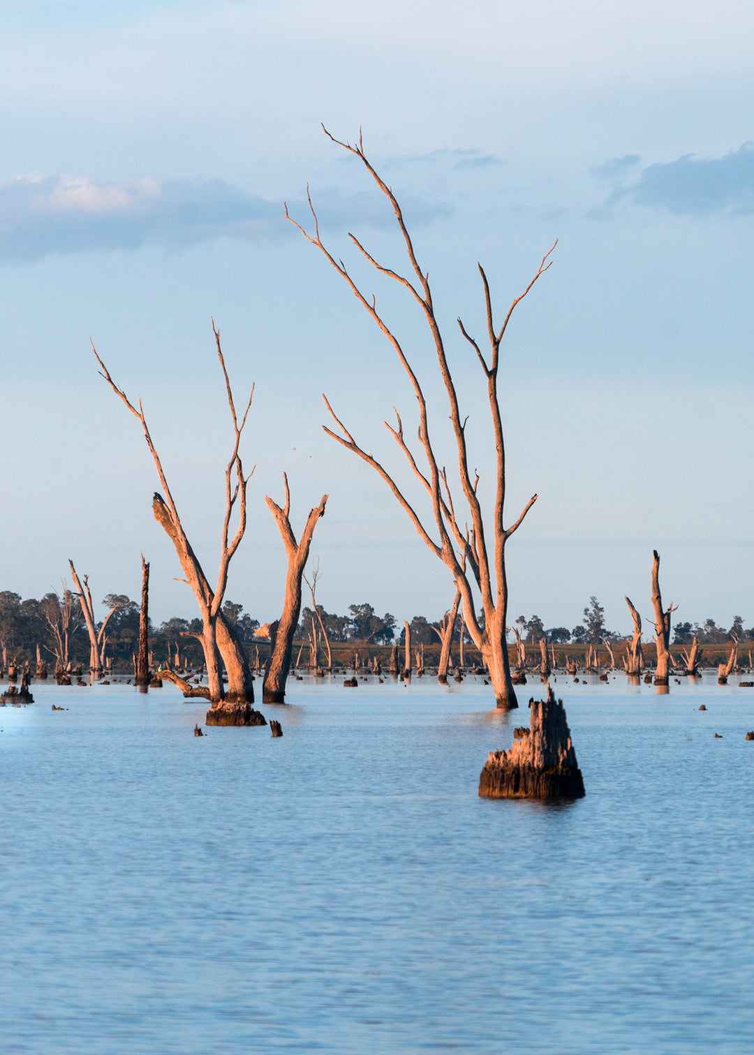 Lake Mulwala | VIC/NSW - 183