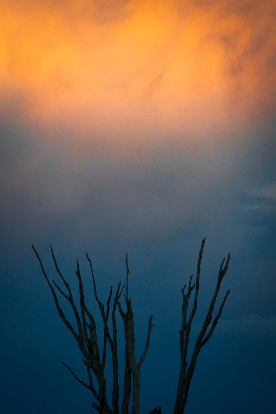 Lake Mulwala | VIC/NSW - 192